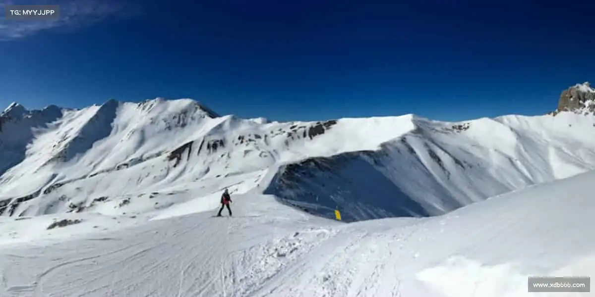 为什么选择我们